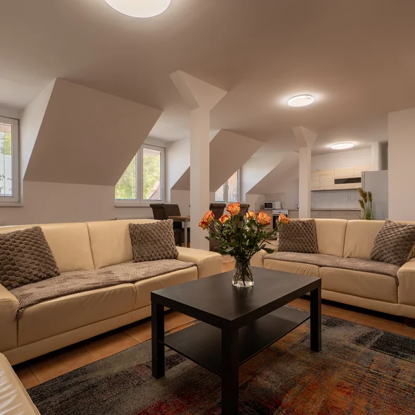 APARTMENT 1 (4+1)