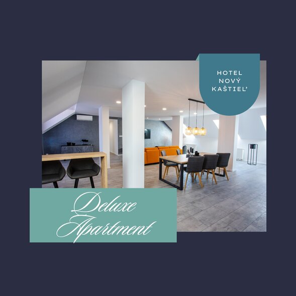 DELUXE APARTMENT