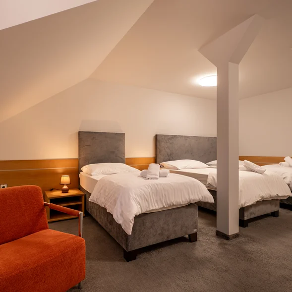 TRIPLE ROOM